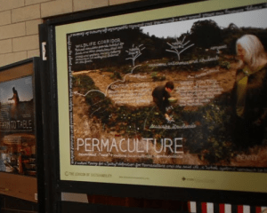 permaculture